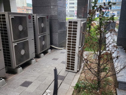 갤러리